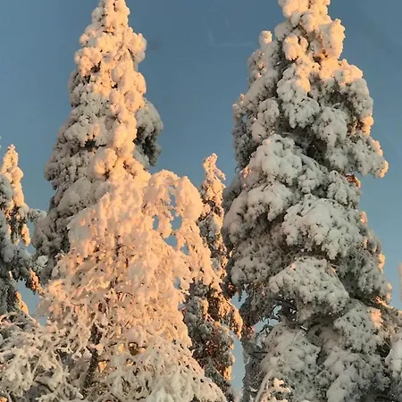 Vilmala Saaskilahti